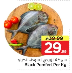 سمكة الزيدي السوداء للكيلو