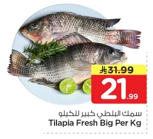 Tilapia Fresh Big Per Kg