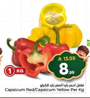فلفل أحمر بارد/أصفر بارد للكيلو