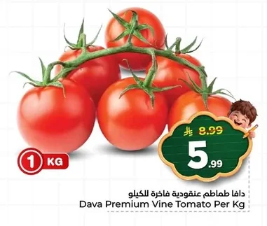 Dava Premium Vine Tomatoes