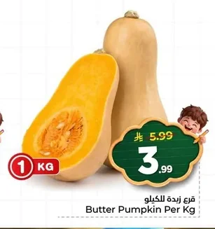 قرع زبدة للكيلو