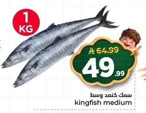 kingfish medium