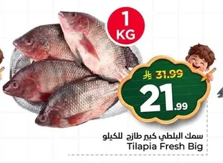 سمك البلطي كبير طازج للكيلو