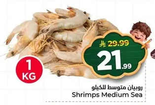 Shrimps Medium Sea