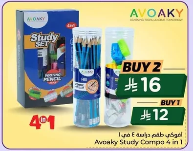Study Set 4 in 1