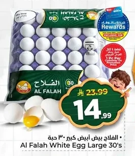 الفلاح بيض أبيض كبير