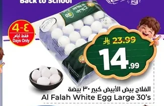 الفلاح بيض أبيض كبير ٣٠ بيضة