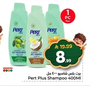 برت بلس شامبو