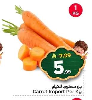 جزر مستورد