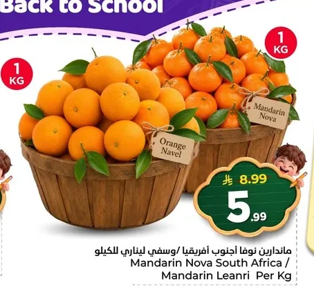 Mandarin Nova South Africa / Mandarin Leanri Per Kg