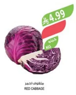 RED CABBAGE