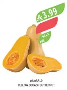 YELLOW SQUASH BUTTERNUT