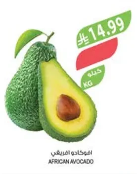 افوكادو افريقي