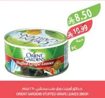 Orient Gardens Stuffed Grape Leaves