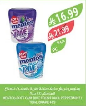 Soft Chewing Gum - Mint / Fresh