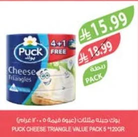 Processed Cheese Triangles