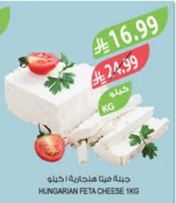HUNGARIAN FETA CHEESE