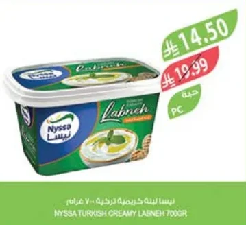 Turkish Creamy Labneh