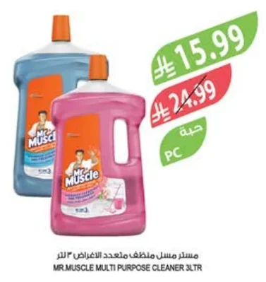 مسطر مسل منظف متعدد الأغراض ٣ لتر
