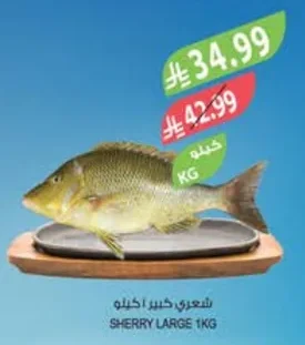 SHERRY LARGE 1KG