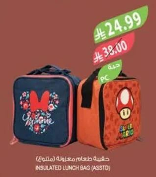 INSULATED LUNCH BAG (ASSTD)