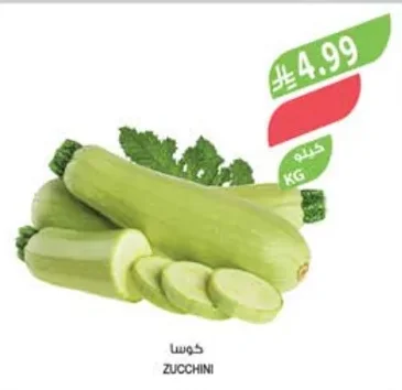 ZUCCHINI