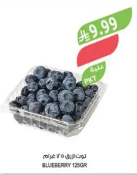 BLUEBERRY 125GR