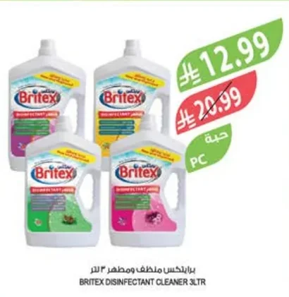 Britex Disinfectant Cleaner