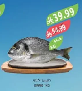 DINNIS 1KG