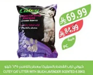 Cat Litter