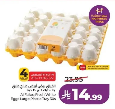 Fresh White Eggs