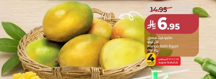 Mango Keith Egypt