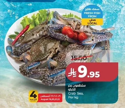 سلطعون بحر