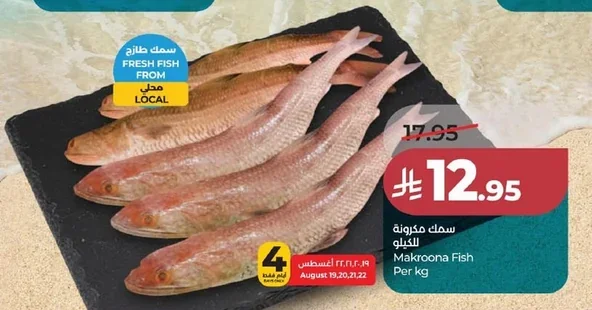 Makroona Fish
