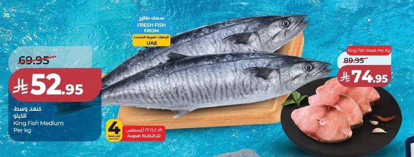King Fish Medium