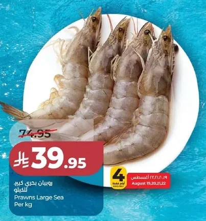 Shrimp Small Sea Per kg