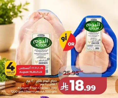دجاج اليوم طازج