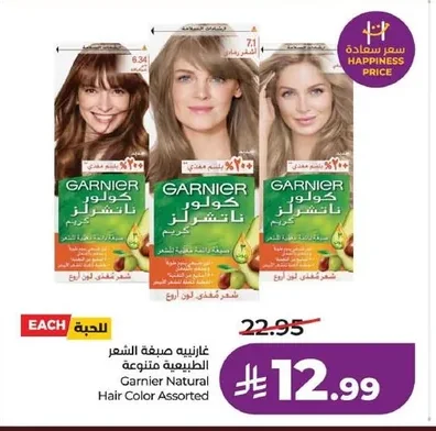 Garnier Natural Hair Color