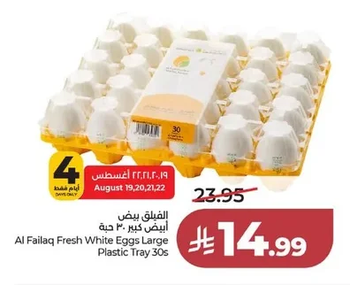 الفيقيق بيض