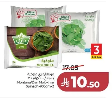 مونتانا/داري ملوخية