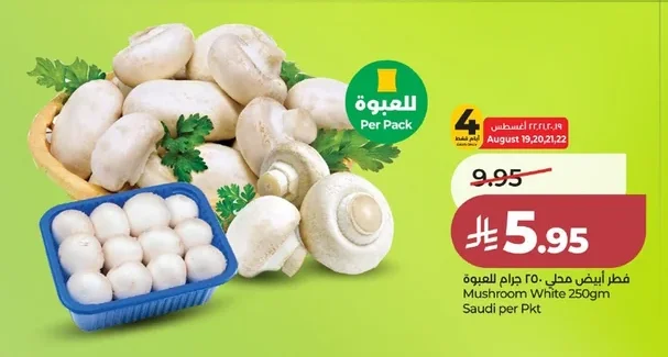 فطر أبيض محلي