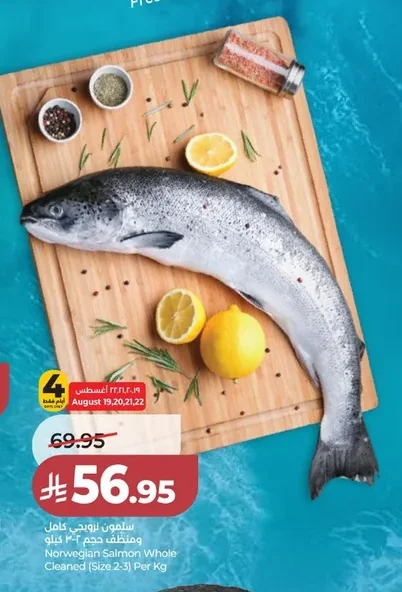 سلمون نرويجي كامل