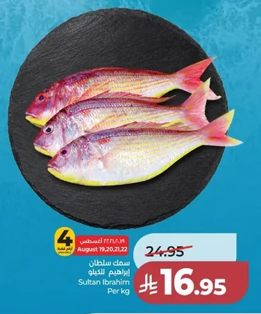 سمك سلطان ابراهيم