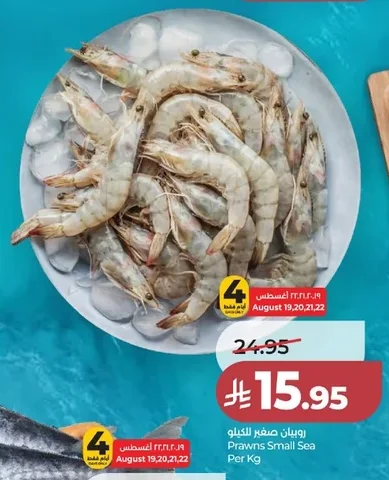 Prawns Small Sea