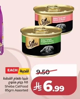 شيبا طعام القطط
