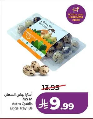 أسترا بيض السمان