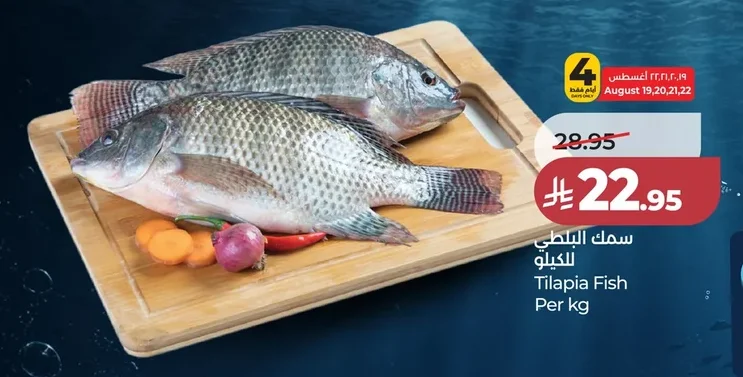 سمك البلطي