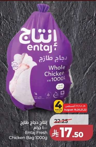 إنتاج دجاج طازج