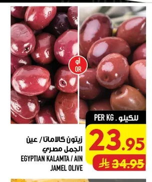 زيتون كالاماتا / عين الجمل المصري