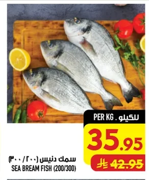 سمك دنيس